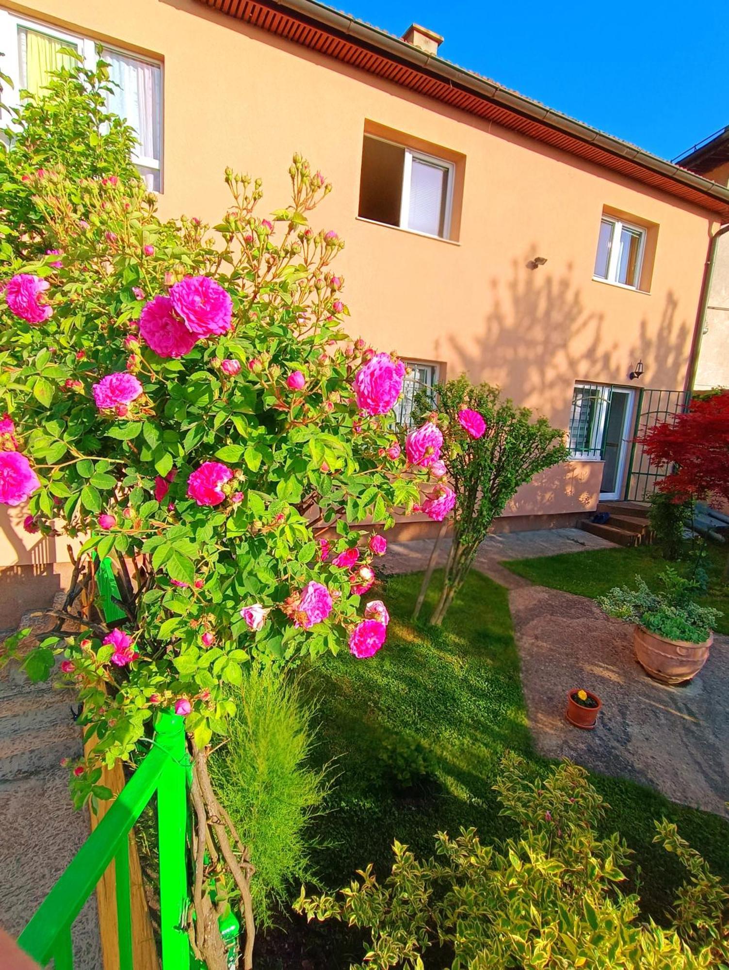 Apartamento Garden Free Parking SJJ Exterior foto